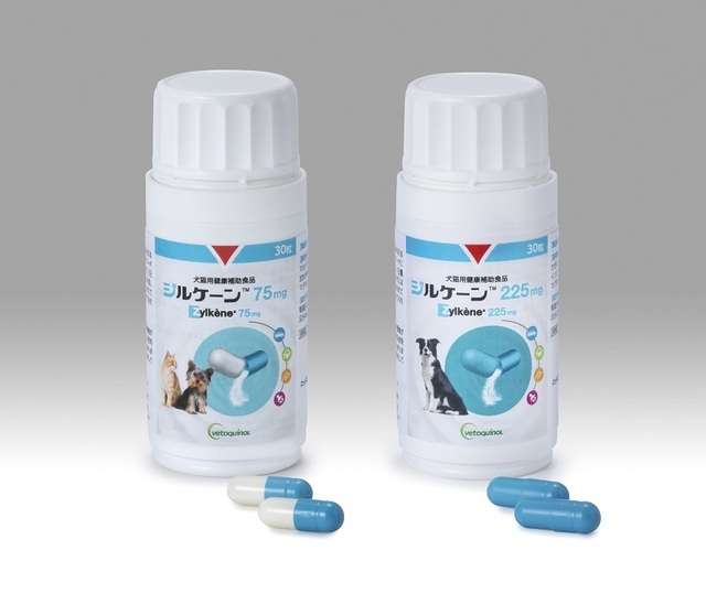 zylkenbottle2s.jpg